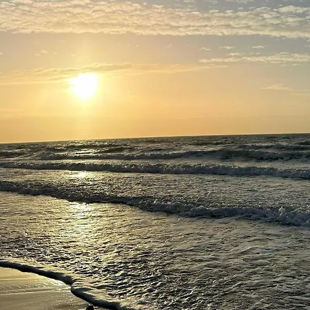 5-sterne Strandflieder Mit Einem Traumhaften Boddenblick Apartment *