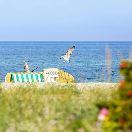 5-sterne Strandflieder Mit Einem Traumhaften Boddenblick Apartment *